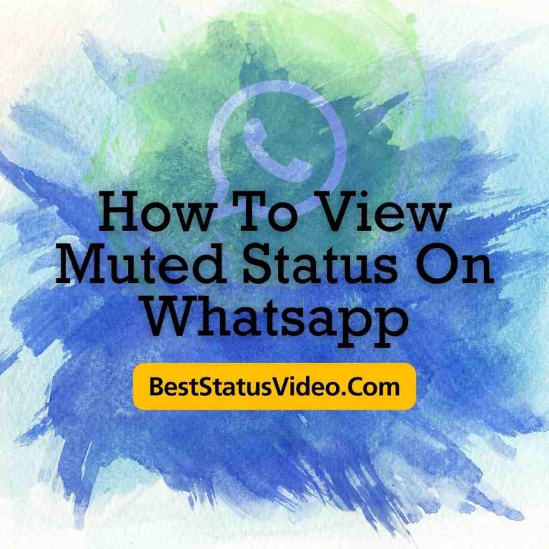 How To View Muted Status On Whatsapp