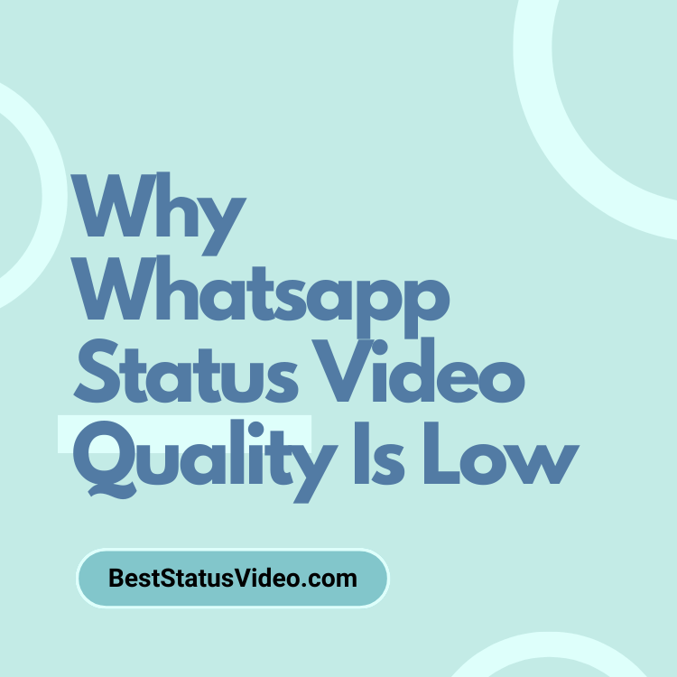 Why Whatsapp Status Video Quality Is Low